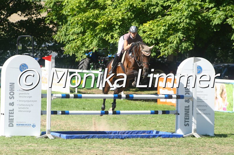 308M2574_Springpf L.JPG